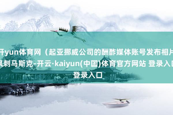 开yun体育网（起亚挪威公司的酬酢媒体账号发布相片讽刺马斯克-开云·kaiyun(中国)体育官方网站 登录入口
