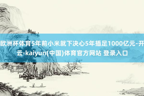欧洲杯体育5年前小米就下决心5年插足1000亿元-开云·kaiyun(中国)体育官方网站 登录入口