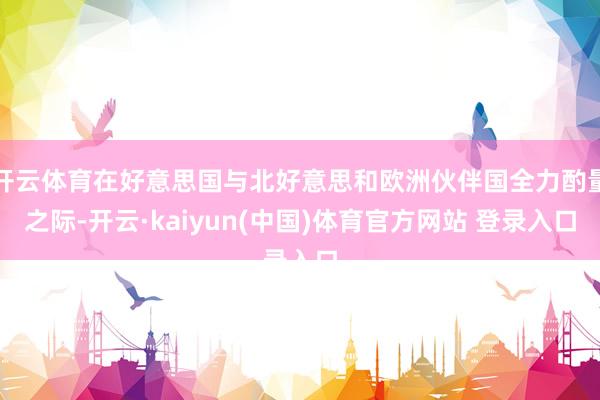开云体育在好意思国与北好意思和欧洲伙伴国全力酌量之际-开云·kaiyun(中国)体育官方网站 登录入口