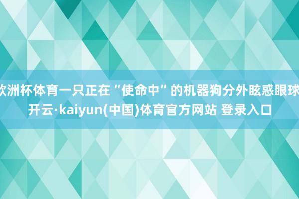 欧洲杯体育一只正在“使命中”的机器狗分外眩惑眼球-开云·kaiyun(中国)体育官方网站 登录入口