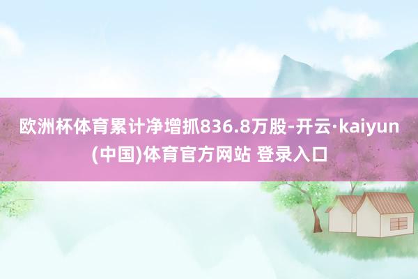 欧洲杯体育累计净增抓836.8万股-开云·kaiyun(中国)体育官方网站 登录入口