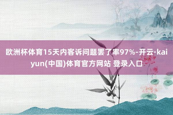 欧洲杯体育15天内客诉问题罢了率97%-开云·kaiyun(中国)体育官方网站 登录入口