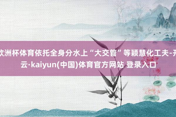 欧洲杯体育依托全身分水上“大交管”等颖慧化工夫-开云·kaiyun(中国)体育官方网站 登录入口