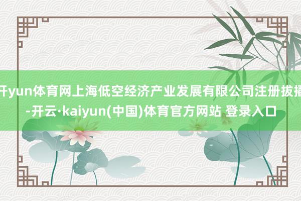 开yun体育网上海低空经济产业发展有限公司注册拔擢-开云·kaiyun(中国)体育官方网站 登录入口