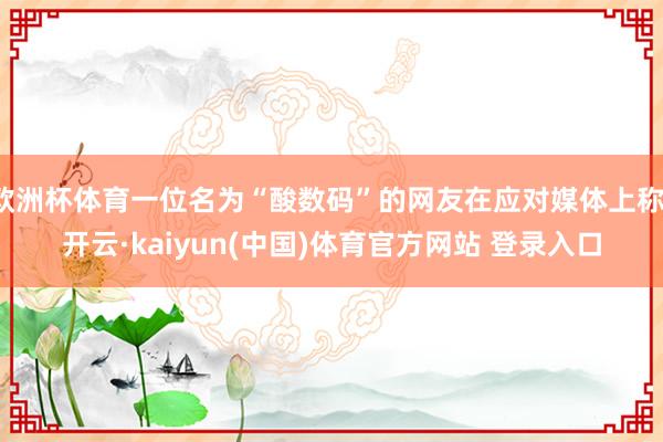 欧洲杯体育一位名为“酸数码”的网友在应对媒体上称-开云·kaiyun(中国)体育官方网站 登录入口
