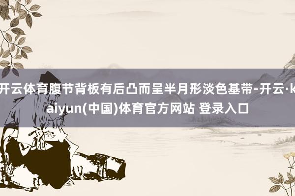 开云体育腹节背板有后凸而呈半月形淡色基带-开云·kaiyun(中国)体育官方网站 登录入口