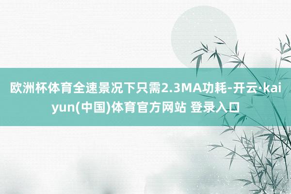 欧洲杯体育全速景况下只需2.3MA功耗-开云·kaiyun(中国)体育官方网站 登录入口