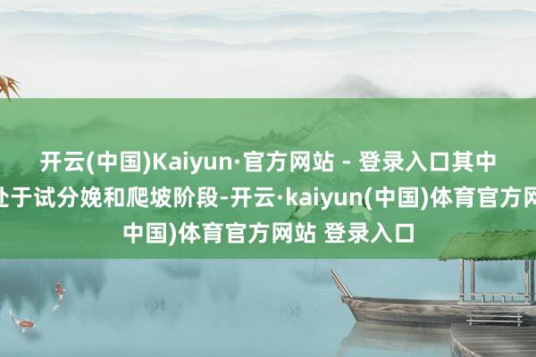 开云(中国)Kaiyun·官方网站 - 登录入口其中部分产能正处于试分娩和爬坡阶段-开云·kaiyun(中国)体育官方网站 登录入口